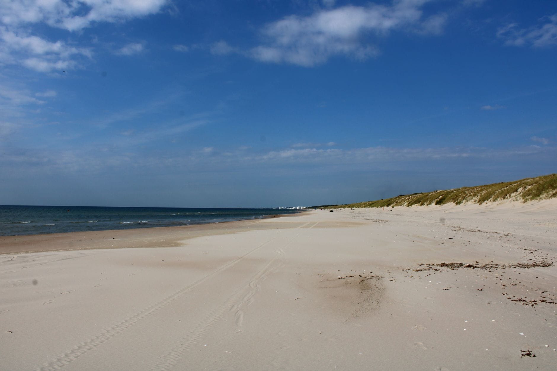 Słoneczna, pusta plaża z jasnym piaskiem i błękitnym niebem nad Bałtykiem